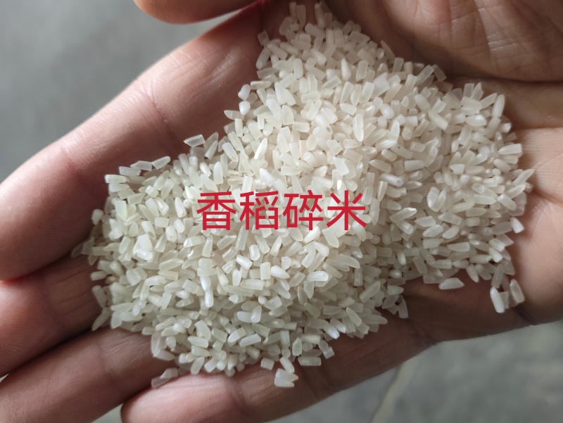碎米香稻碎米