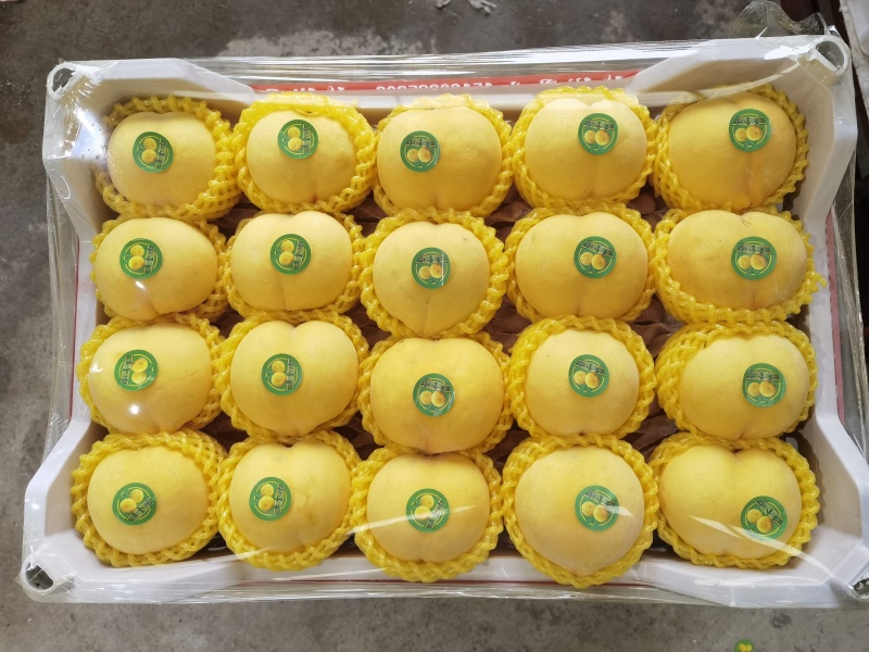 山东蒙阴蜜桃产地直供商超，市场，加工厂，电商，团购等等