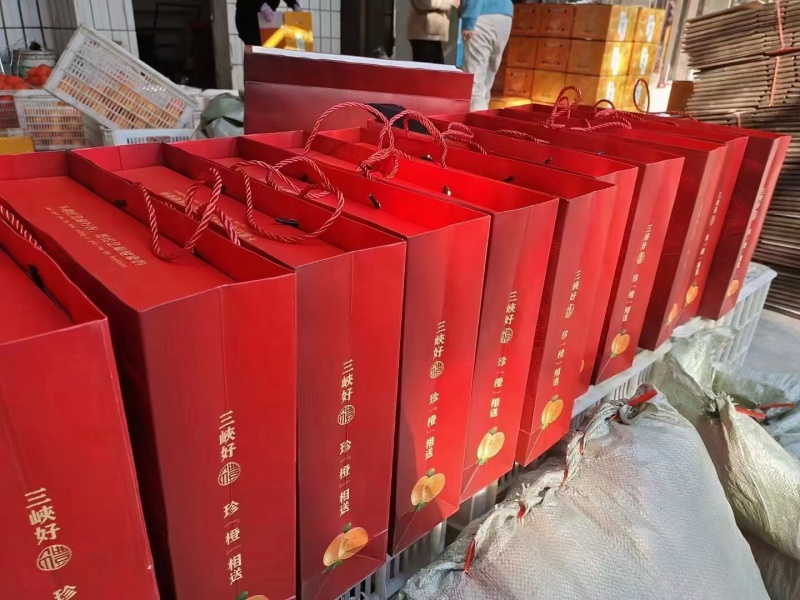 秭归中华红血橙果肉鲜红脆甜多汁对接电商批发商超出口