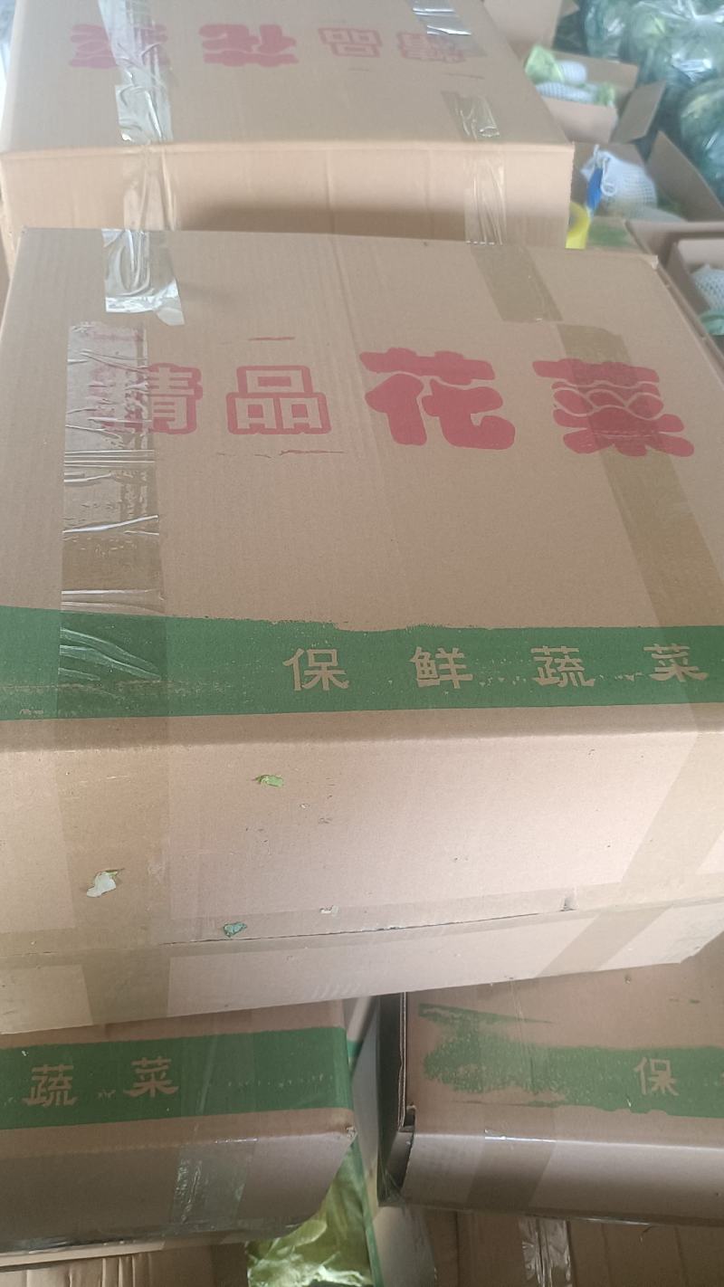 小白实花，直供市场和加工厂，全国发货，量大从优。