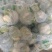小白实花，直供市场和加工厂，全国发货，量大从优。