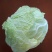 出售娃娃菜80万斤，价格便宜，质量保证，欢迎全国各地客商