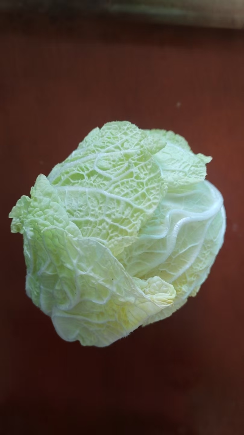 出售娃娃菜80万斤，价格便宜，质量保证，欢迎全国各地客商