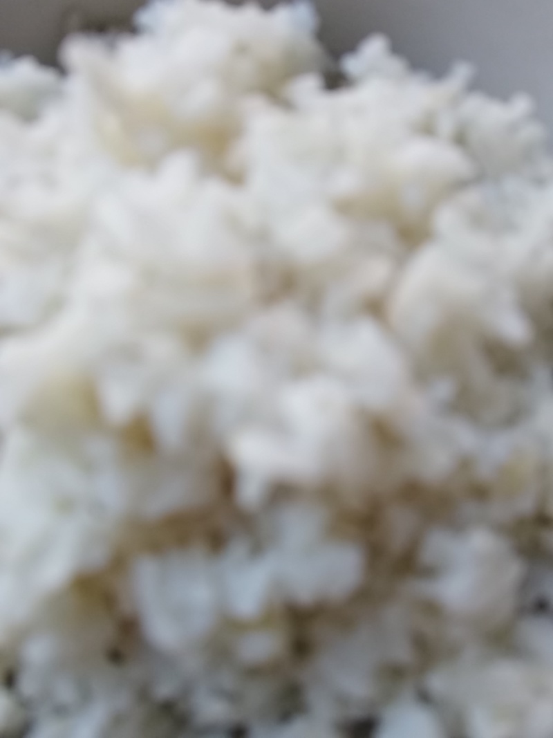 精品稻香米，产地直发货源充足，诚信卖家欢迎选购
