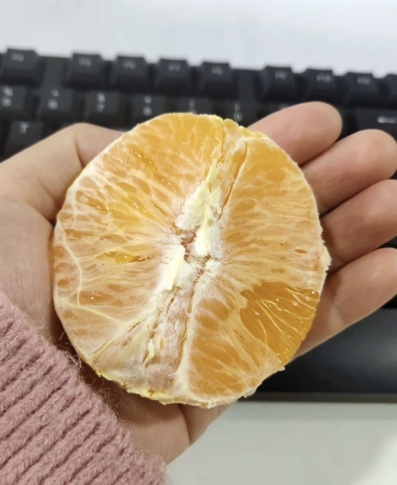 自家果园，纽荷尔脐橙