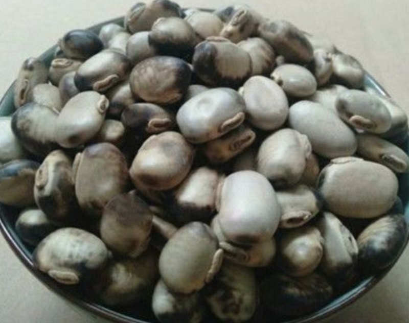 药材干猫豆(每斤)