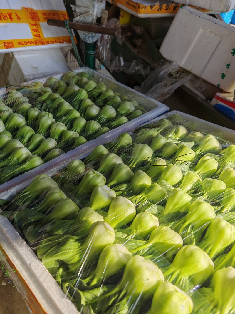 太湖菜