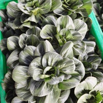 太湖菜