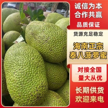 海南正宗泰八菠萝蜜，承接全国市场，致电有优惠