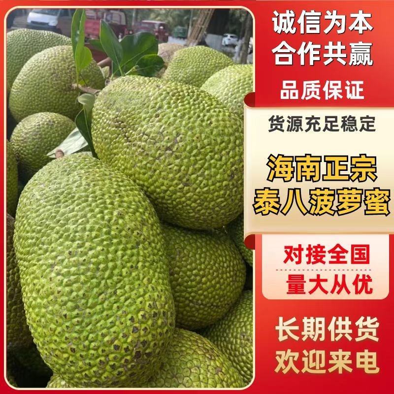 海南正宗泰八菠萝蜜，承接全国市场，致电有优惠