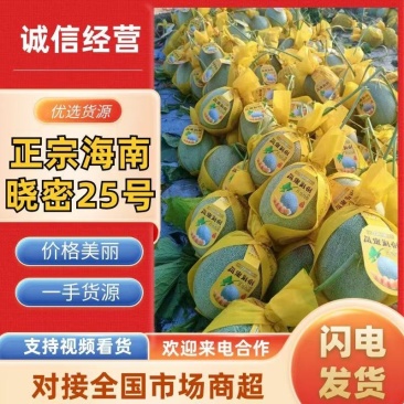 海南晓蜜25号哈密瓜承接全国采购价格优惠一手货源欢迎致电