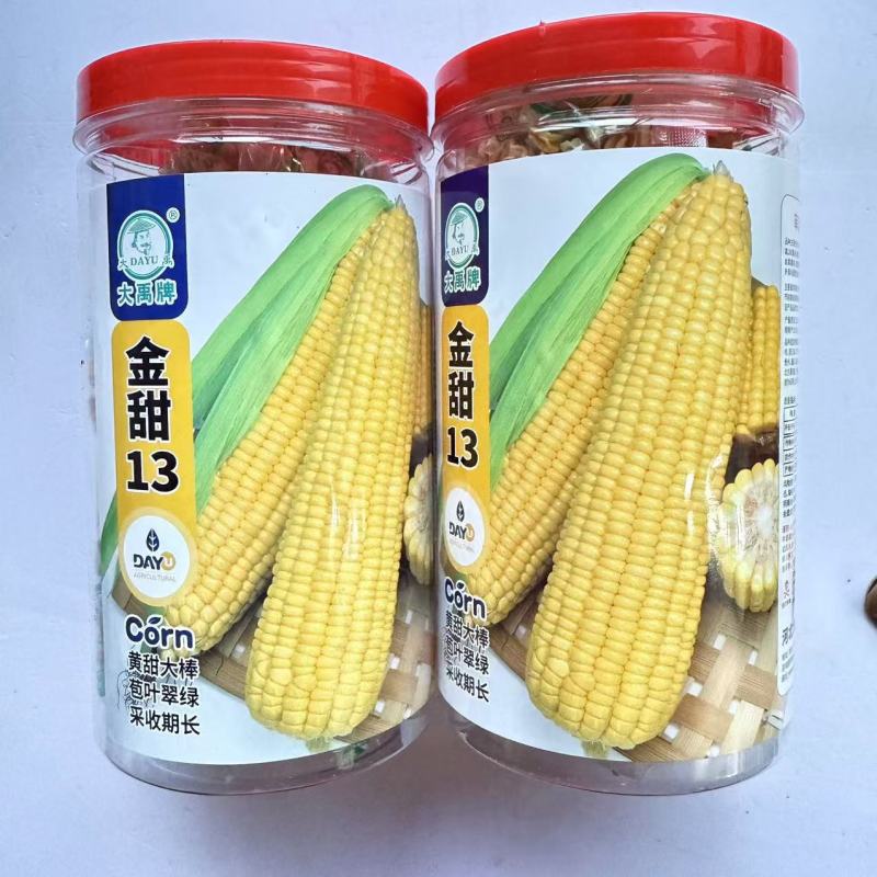 甜冠818玉米种子籽粒黄甜质型水果玉米种子黄色甜玉米种子