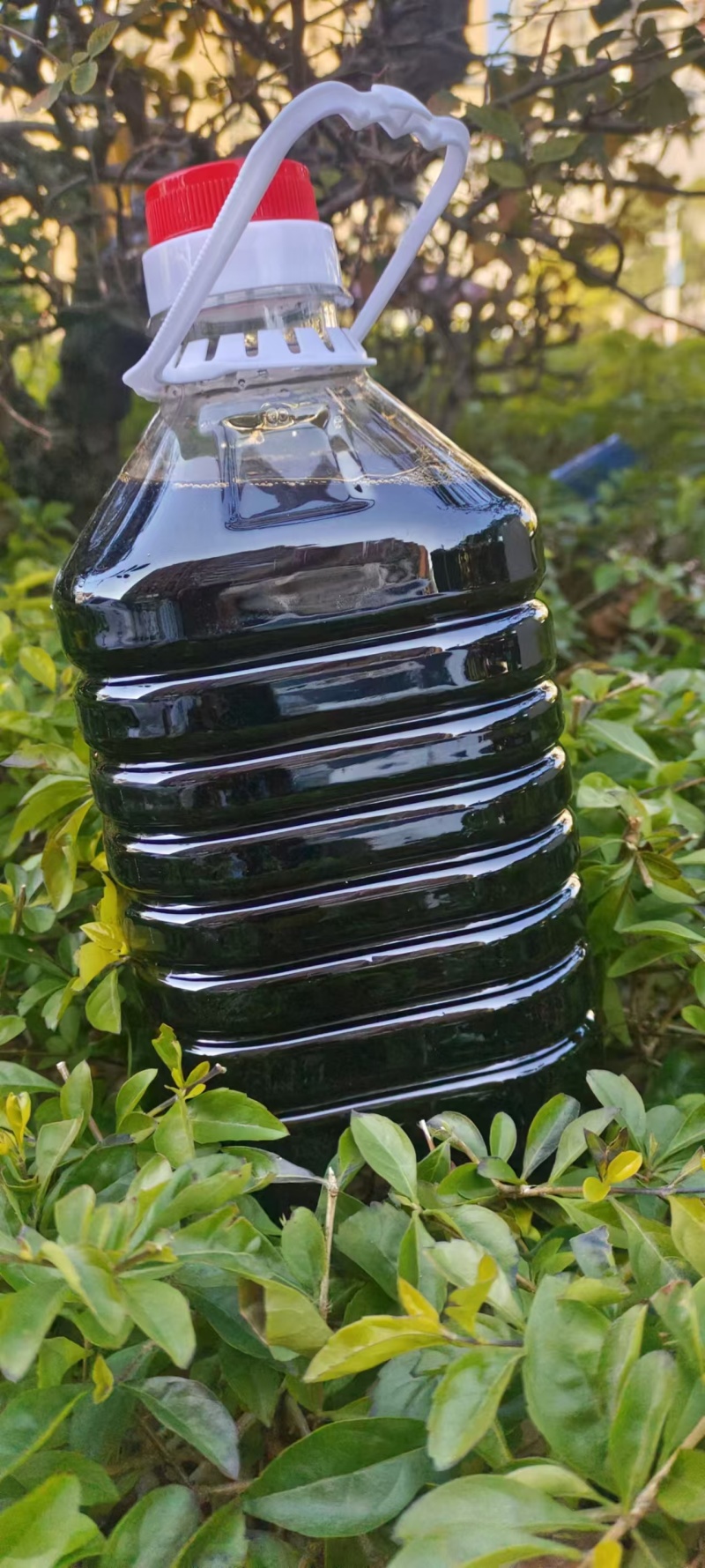 黑米酒厂家直销粮食酒全国招商代理一桶批发
