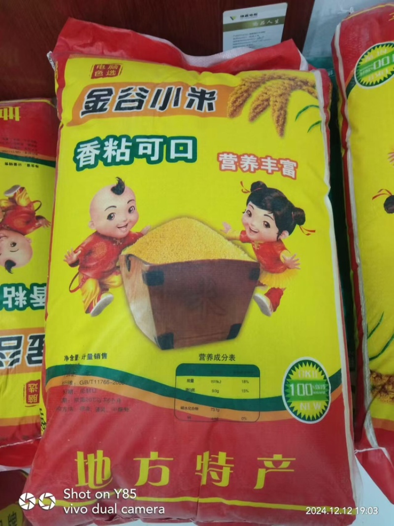 【优选黄小米】山西朔州精品黄小米农家种植，米粒金黄