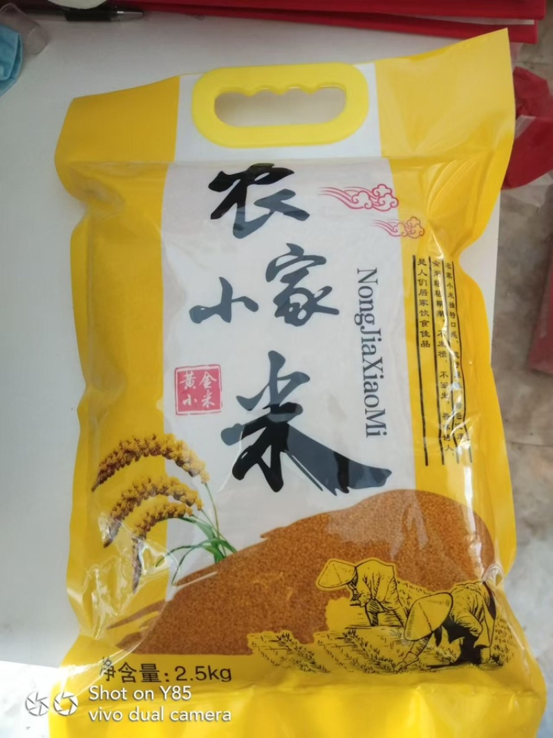 【优选黄小米】山西朔州精品黄小米农家种植，米粒金黄