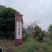 万木春山茶油