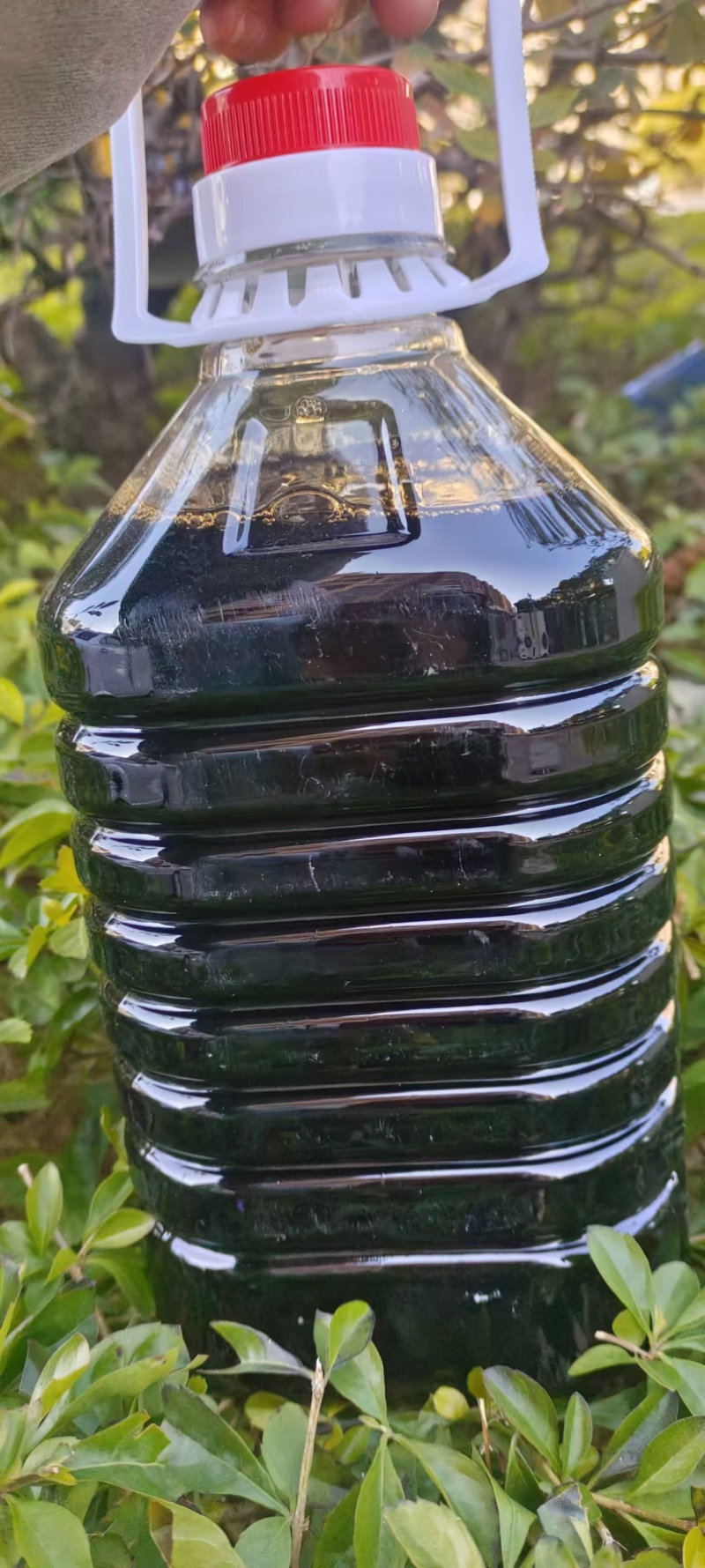 姜艾酒以质量生存厂家直销，全国发货，诚信经营