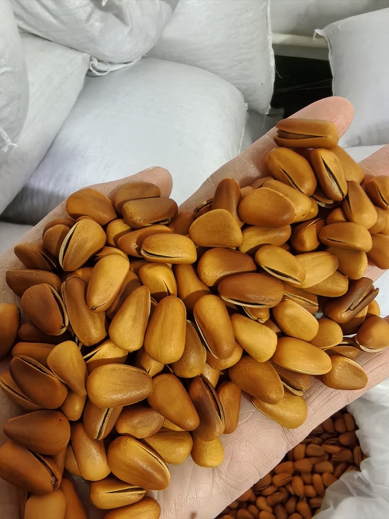 开口松子新货精品油炸中颗粒，