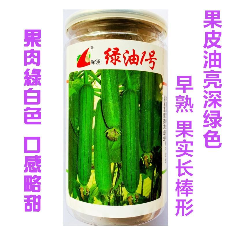 绿领绿油1号丝瓜种子