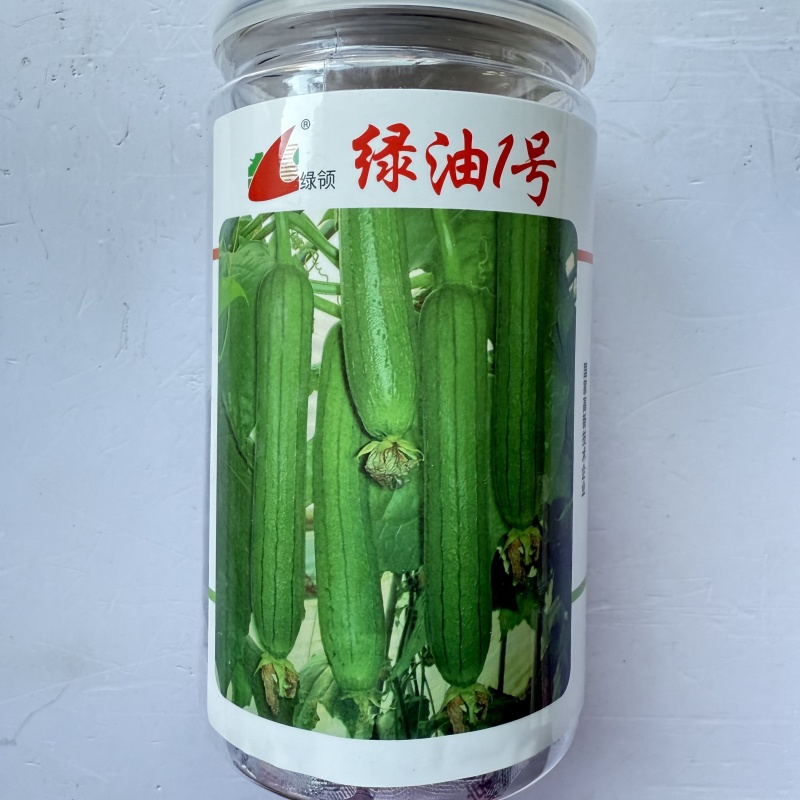 丝瓜种子绿领绿油1号丝瓜种子早熟果皮油亮深绿色皮薄丝瓜种