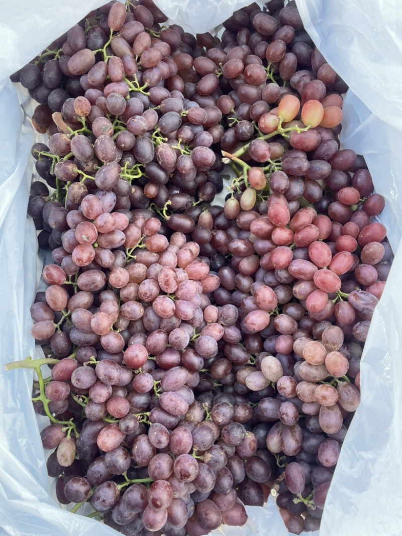 精品克伦生货源充足质量保证对接团购超市