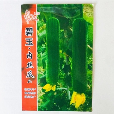 丝瓜种子碧玉肉丝瓜种子