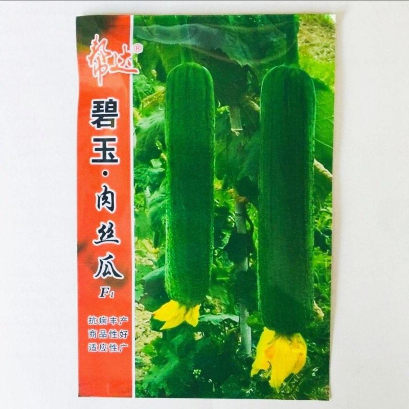 丝瓜种子碧玉肉丝瓜种子