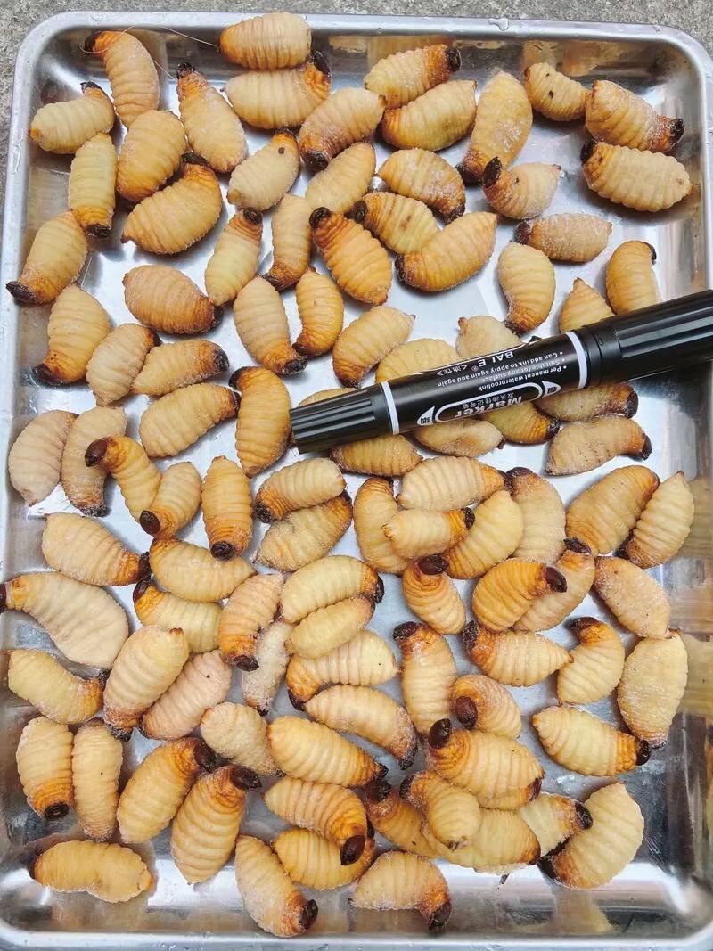 可以上门来收，每天200斤新鲜货
