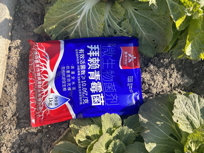 拜赖青霉菌淡紫紫孢菌枯草芽孢杆菌农用正品微生物菌剂