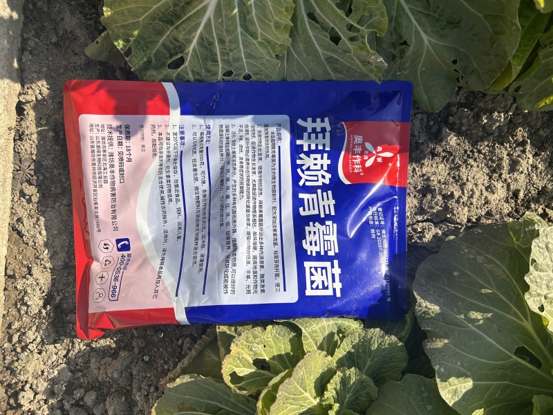 拜赖青霉菌淡紫紫孢菌枯草芽孢杆菌农用正品微生物菌剂