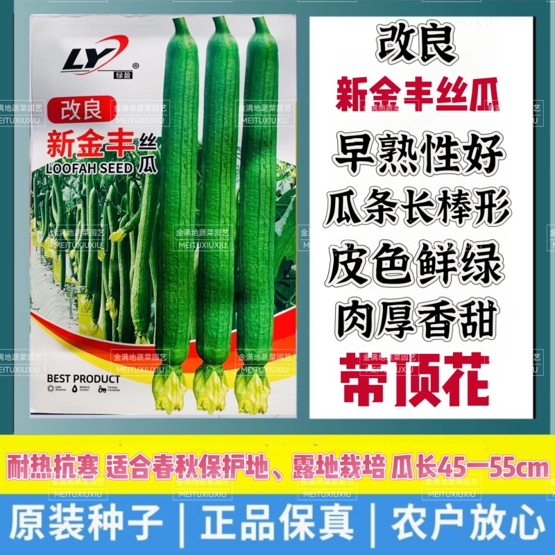 绿盈改良新金丰丝瓜种子特长丝瓜种子寿光中绿丝瓜早熟高产香