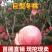 晚熟冬桃苗新品种离核傲雪107帅师香沂蒙霜巨蜜王包邮