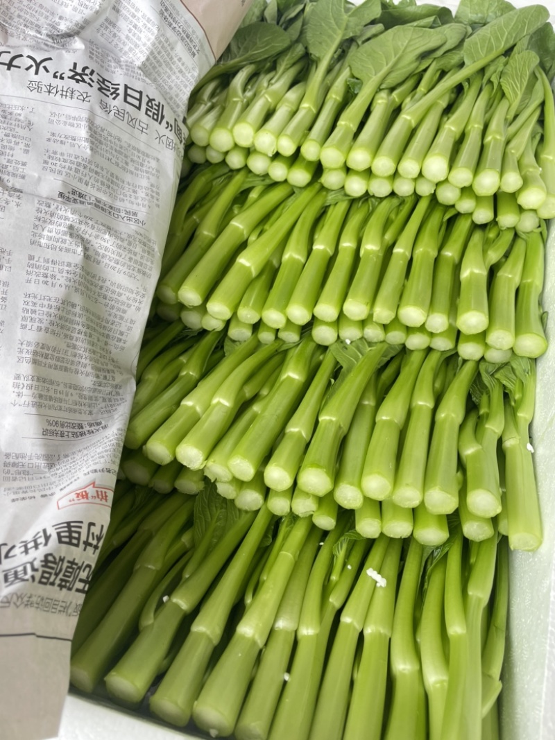 精品菜心，芥兰基地直销，质量保障，价格美丽。