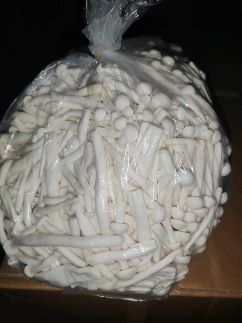 白玉菇散装