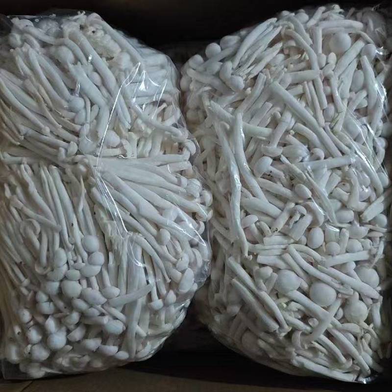 白玉菇散装