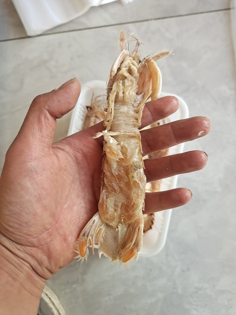 大公皮皮虾13公分左右电商团购