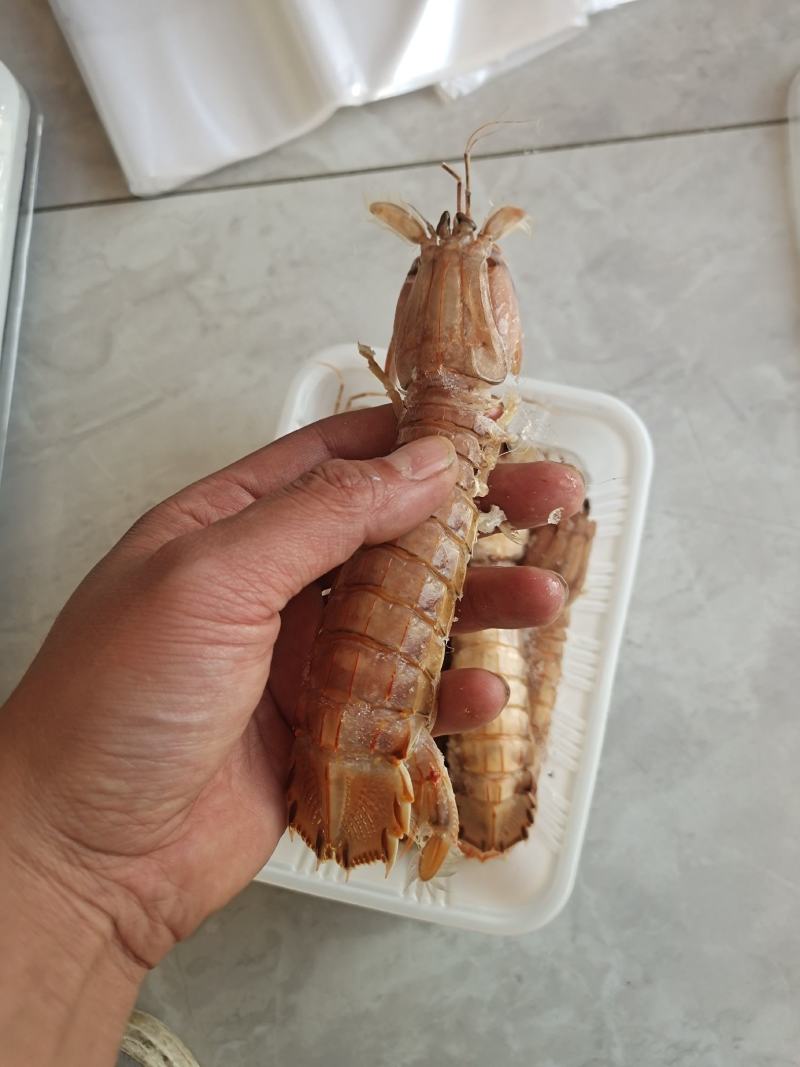 大公皮皮虾13公分左右电商团购