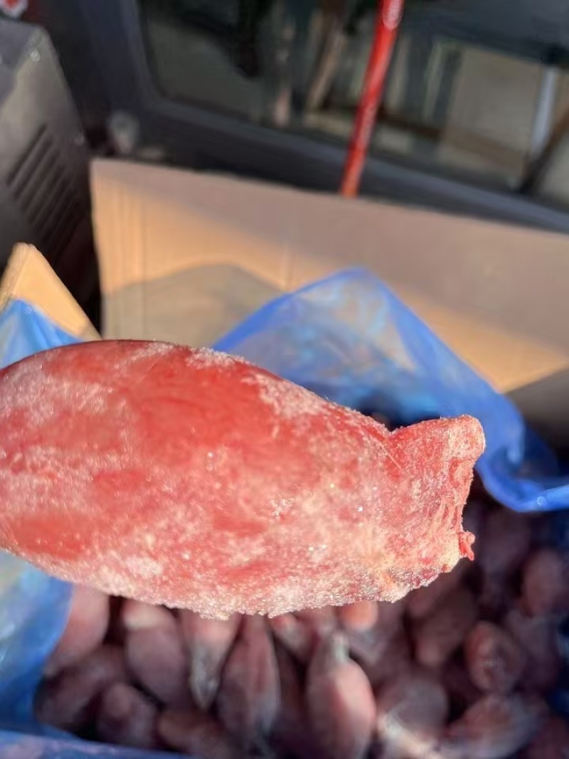 精品羊蛋，各种规格，鲜冻，厂家直销，一手货源