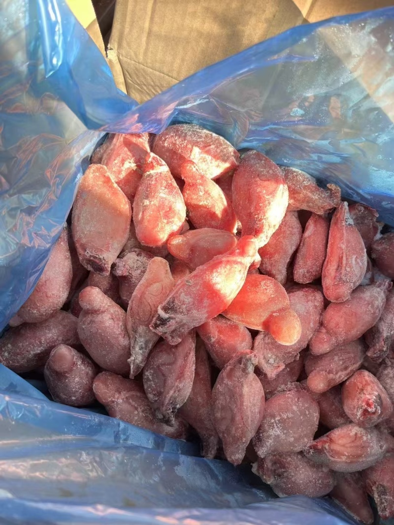 精品羊蛋，各种规格，鲜冻，厂家直销，一手货源