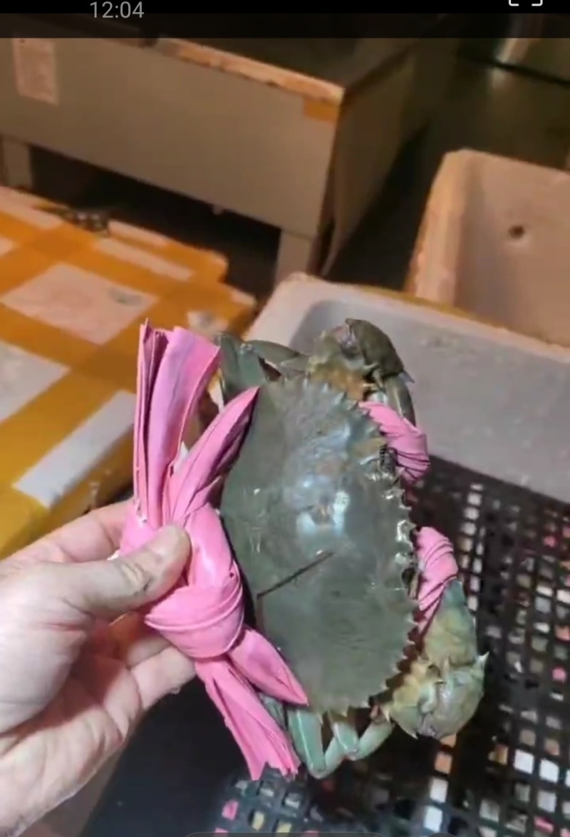 小草满膏蟹，全国对接