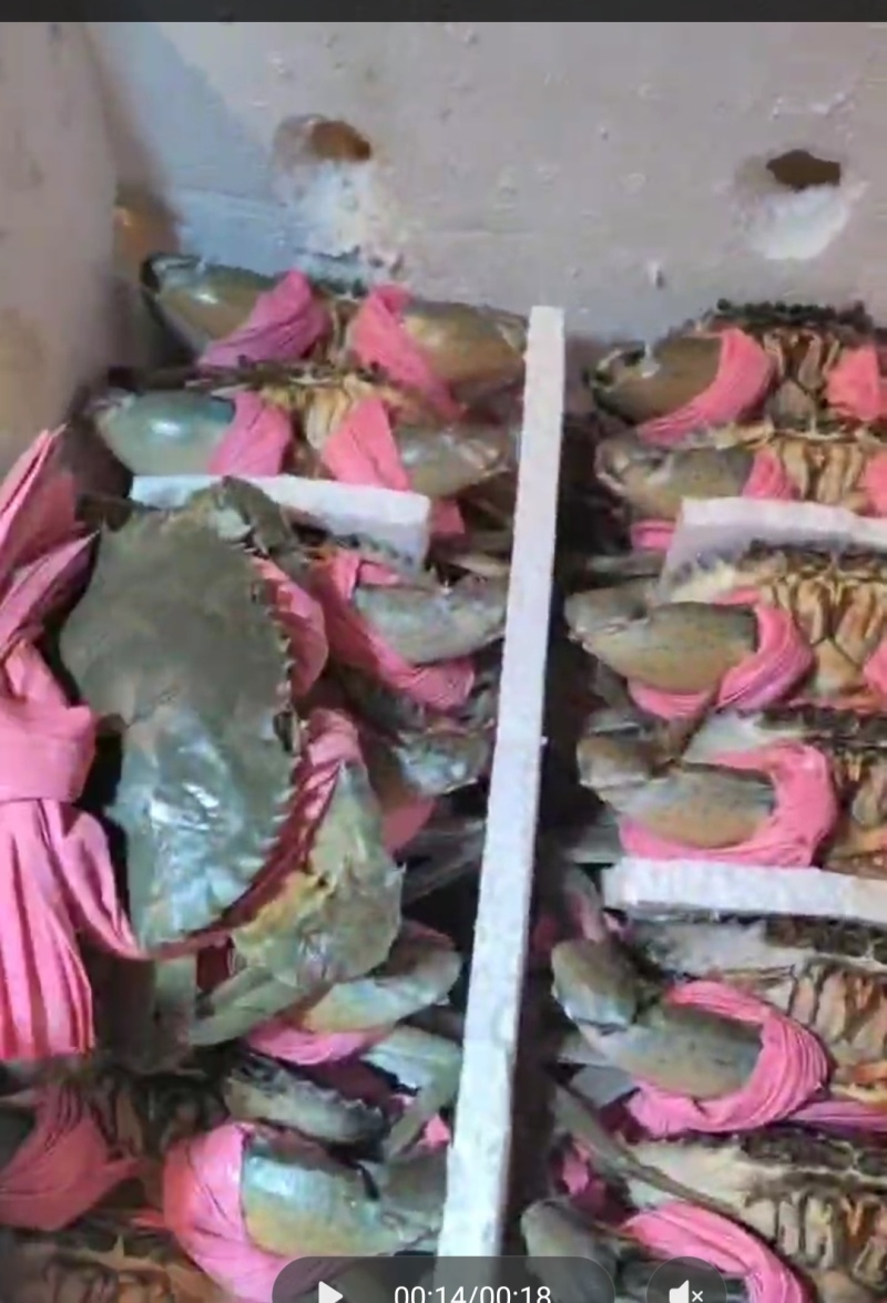 小草满膏蟹，全国对接