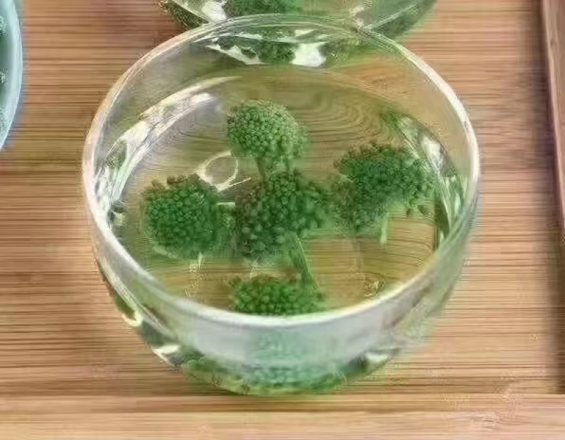 花茶三七花茶可泡茶可炒菜，产地直供，一手货源，欢迎咨询