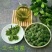 花茶三七花茶可泡茶可炒菜，产地直供，一手货源，欢迎咨询
