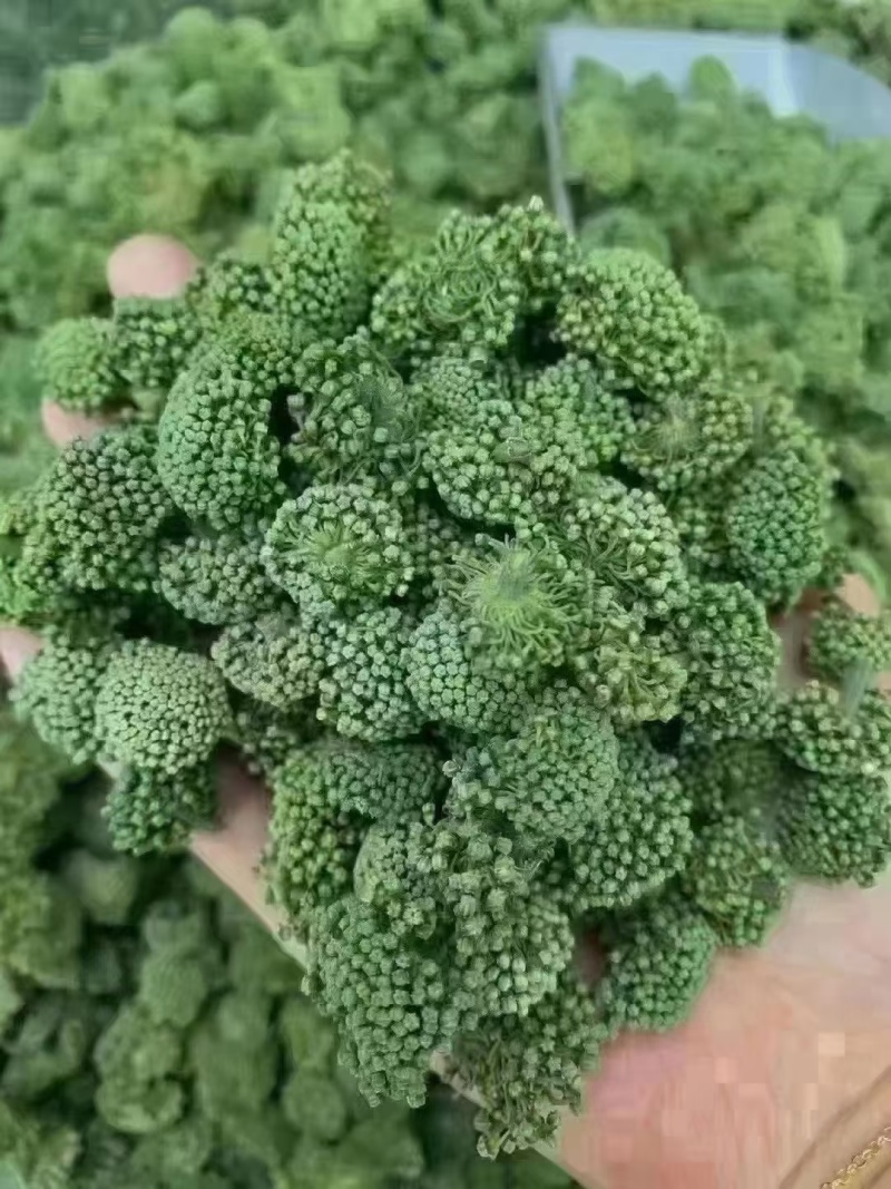 花茶三七花茶可泡茶可炒菜，产地直供，一手货源，欢迎咨询