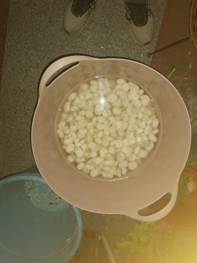 广西荸荠白马蹄全白大量现货一手货源价格低，质量保证
