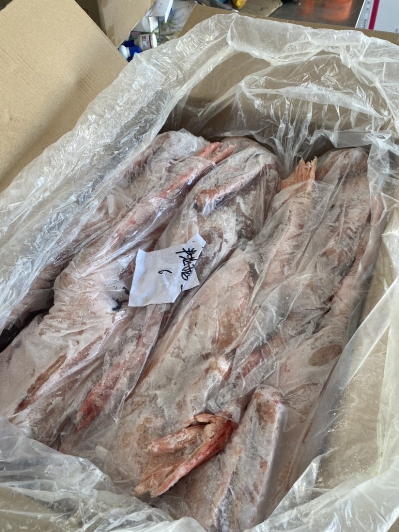 白条鹅仔鹅两光鹅一级二级规格齐全全国冷链发货
