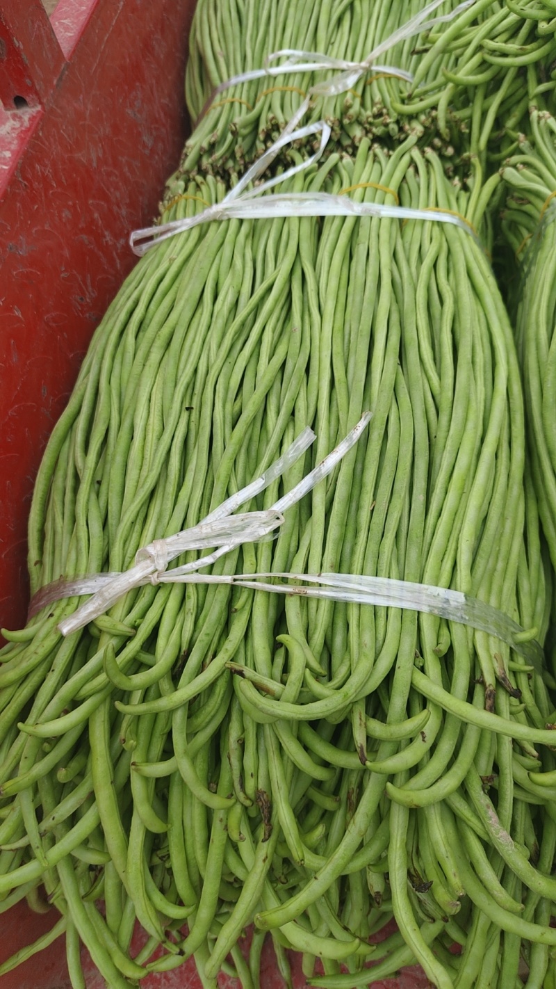长豆角