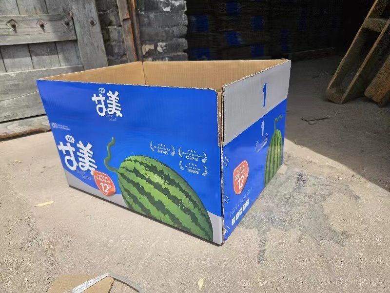 小糖丸西瓜