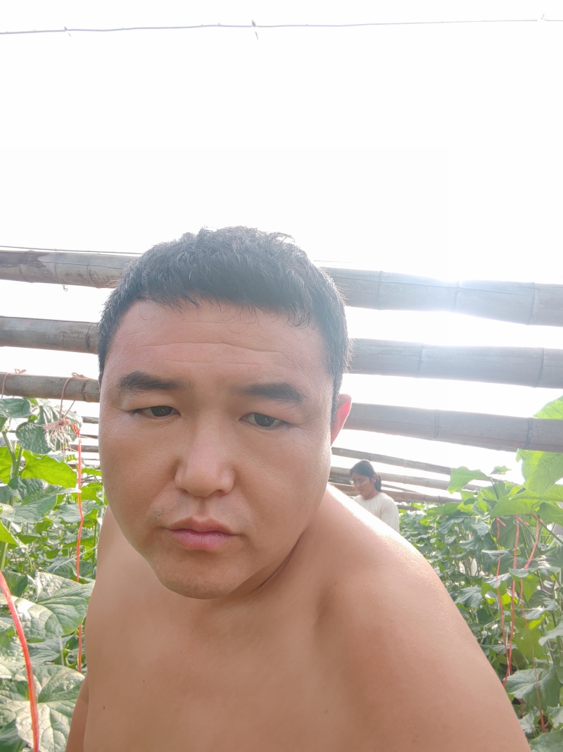 小糖丸西瓜
