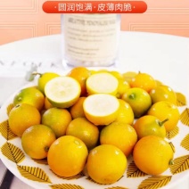 精品融安金桔，质量保证，产地直销货源充足，欢迎打电话选购
